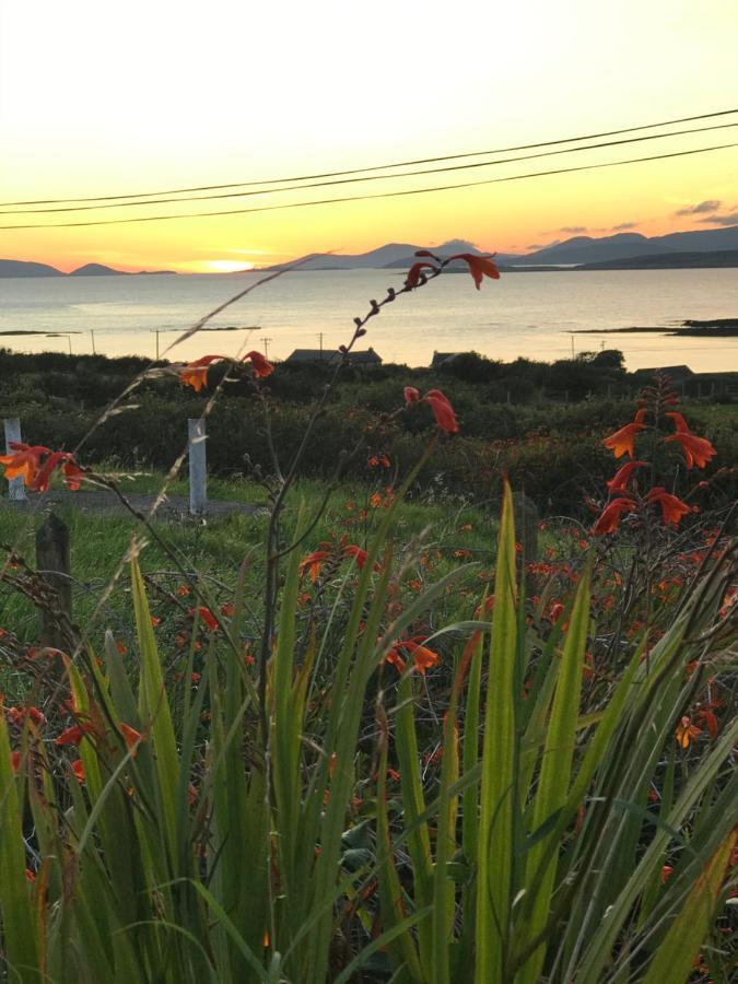 The Stable Self Catering Cottage @ Cappa House Bnb Eyeries Exteriér fotografie
